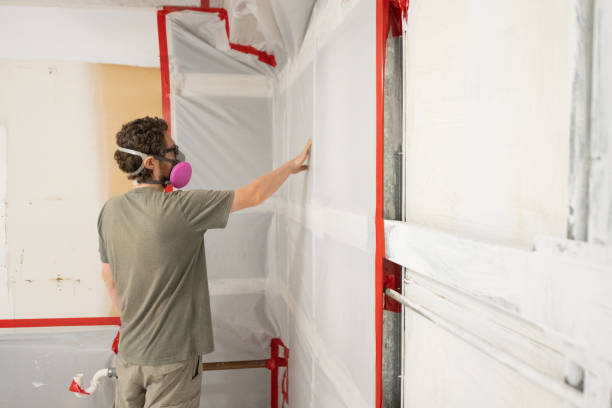Best Mold Remediation for Healthcare Facilities  in Dora, AL