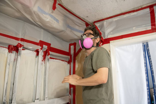 Best Black Mold Removal  in Dora, AL