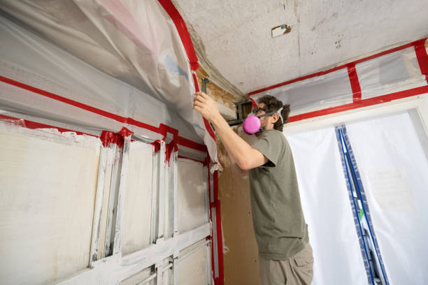 Best Forensic Mold Investigation  in Dora, AL