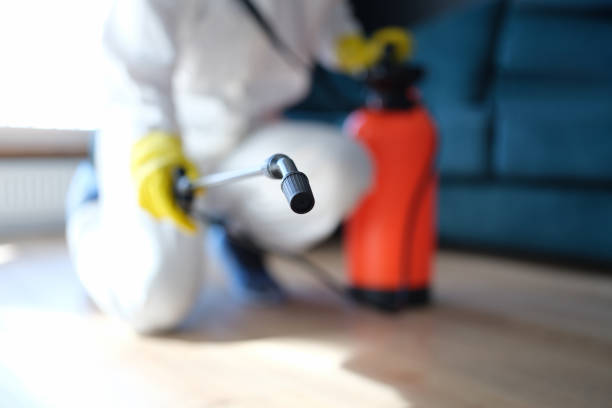 Best Crawl Space Mold Remediation  in Dora, AL